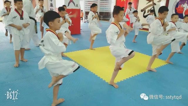 6t体育官网：儿童和青少年练习跆拳道练身体更练心志