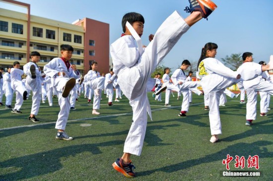 6t体育：张家港市“育苗杯”小学生跆拳道比赛举行