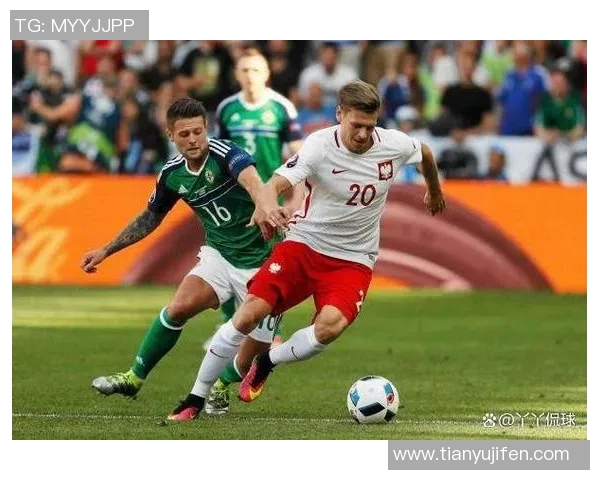 波兰对阵立陶宛足球直播精彩瞬间回顾与赛后分析