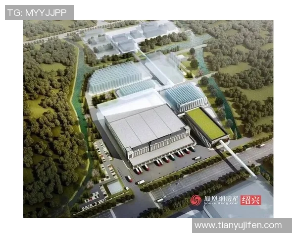 弗拉霍维奇的崛起与未来展望：如何在足球界书写传奇篇章