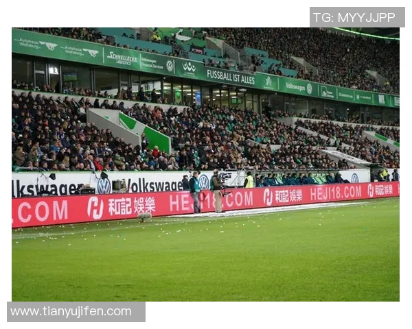 沙尔克04主场遭遇柏林赫塔逼平坚决守住主场优势