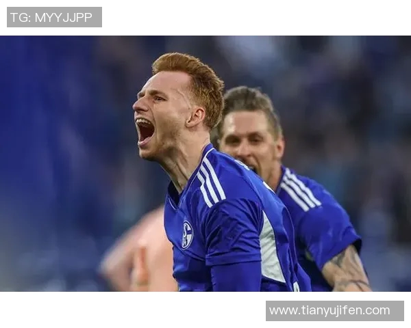 沙尔克04球队伤病连连德甲排名不升反降