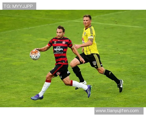 墨尔本与惠灵顿对决精彩回顾及比分分析12月28日赛事情况 墨尔本与惠灵顿对决精彩回顾及比分分析12月28日赛事情况