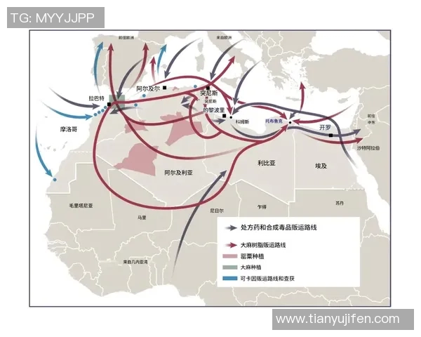 摩洛哥与伊朗之间的历史纷争与近期事件全景分析