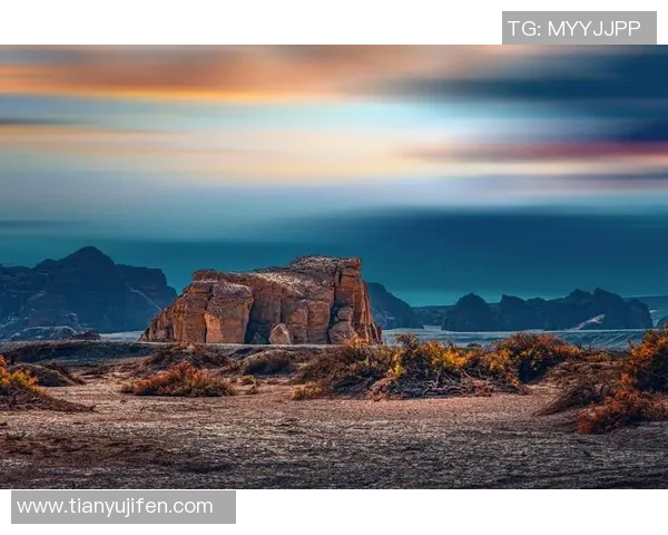 探索摩尔特里独特魅力与文化底蕴的奇幻之旅